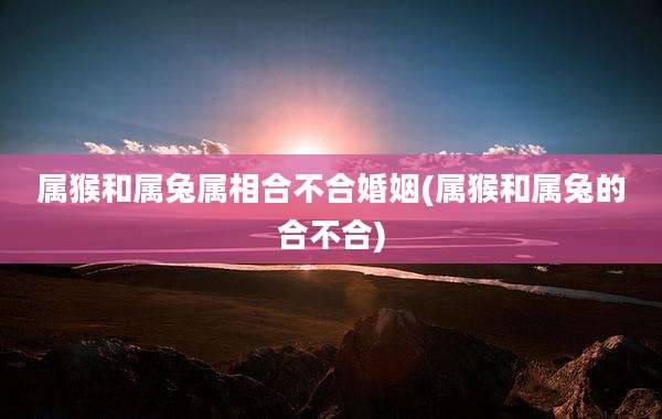 属猴和属兔属相合不合婚姻(属猴和属兔的合不合)