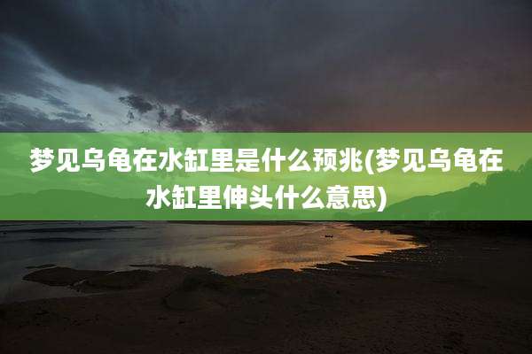 梦见乌龟在水缸里是什么预兆(梦见乌龟在水缸里伸头什么意思)