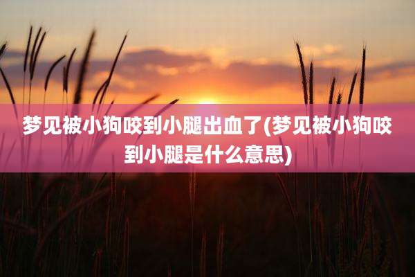 梦见被小狗咬到小腿出血了(梦见被小狗咬到小腿是什么意思)