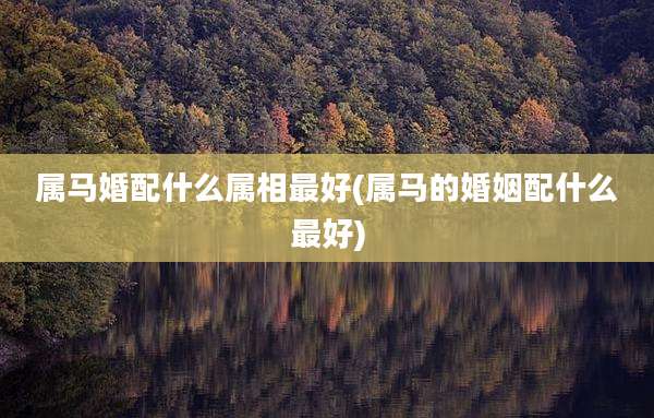 属马婚配什么属相最好(属马的婚姻配什么最好)
