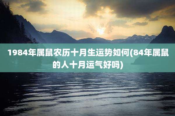 1984年属鼠农历十月生运势如何(84年属鼠的人十月运气好吗)