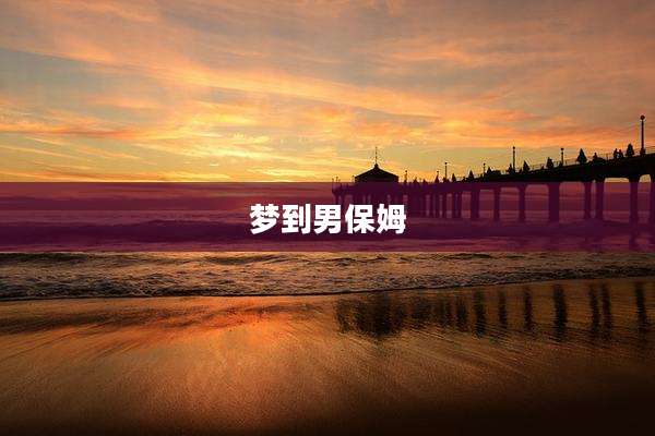 梦到男保姆