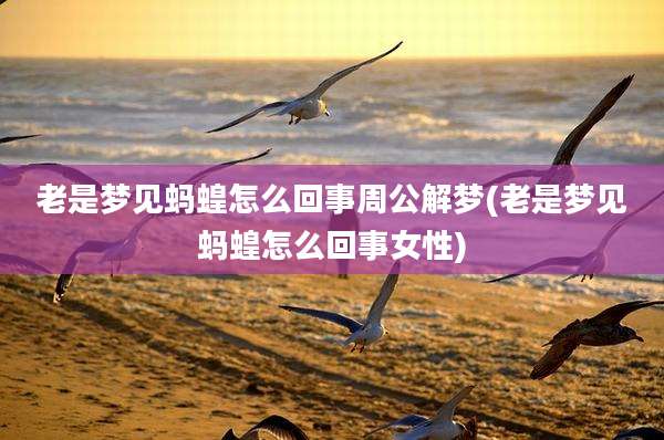 老是梦见蚂蝗怎么回事周公解梦(老是梦见蚂蝗怎么回事女性)