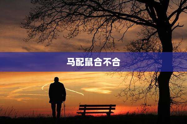 马配鼠合不合