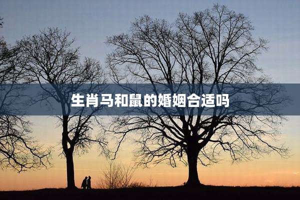 生肖马和鼠的婚姻合适吗