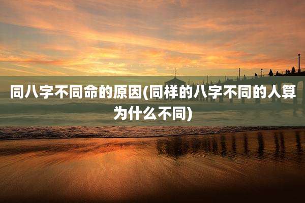 同八字不同命的原因(同样的八字不同的人算为什么不同)