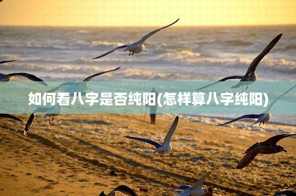 如何看八字是否纯阳(怎样算八字纯阳)