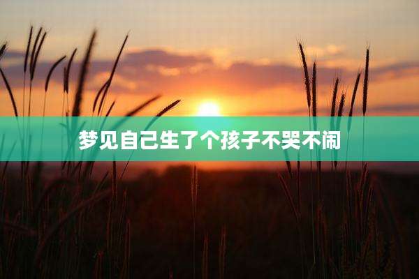 梦见自己生了个孩子不哭不闹