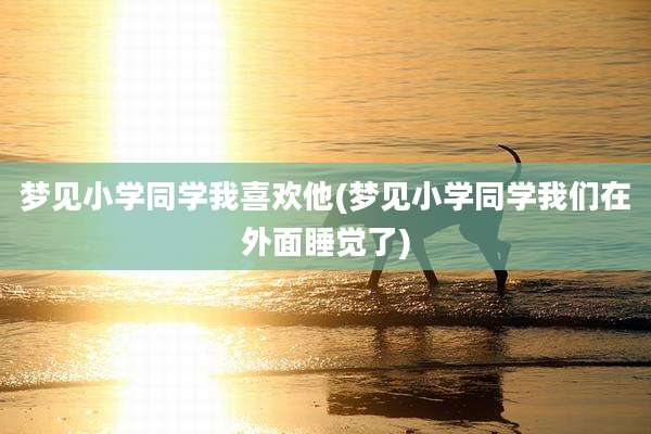 梦见小学同学我喜欢他(梦见小学同学我们在外面睡觉了)