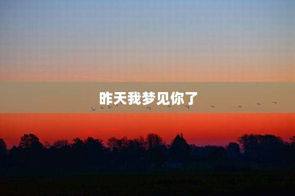 昨天我梦见你了