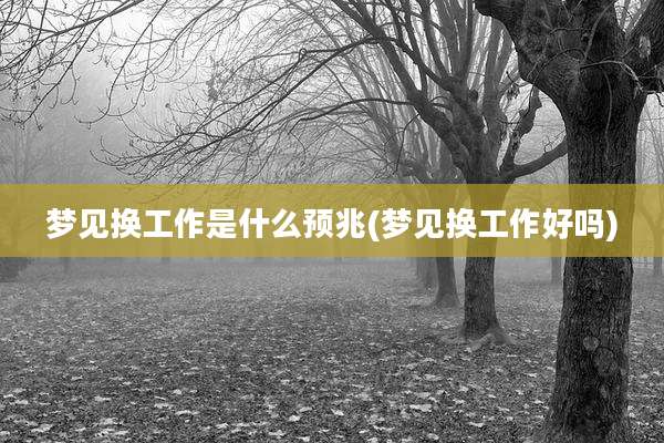 梦见换工作是什么预兆(梦见换工作好吗)