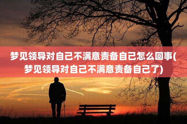 梦见领导对自己不满意责备自己怎么回事(梦见领导对自己不满意责备自己了)