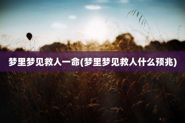 梦里梦见救人一命(梦里梦见救人什么预兆)