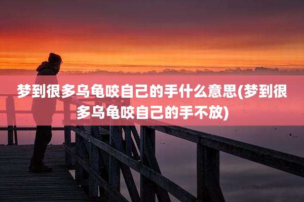 梦到很多乌龟咬自己的手什么意思(梦到很多乌龟咬自己的手不放)