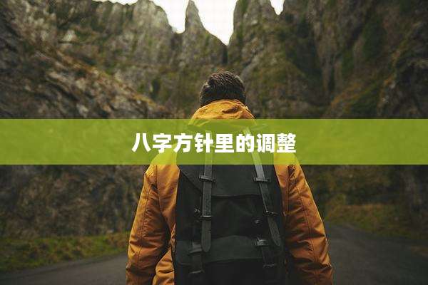 八字方针里的调整