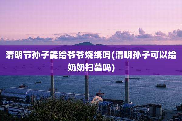 清明节孙子能给爷爷烧纸吗(清明孙子可以给奶奶扫墓吗)