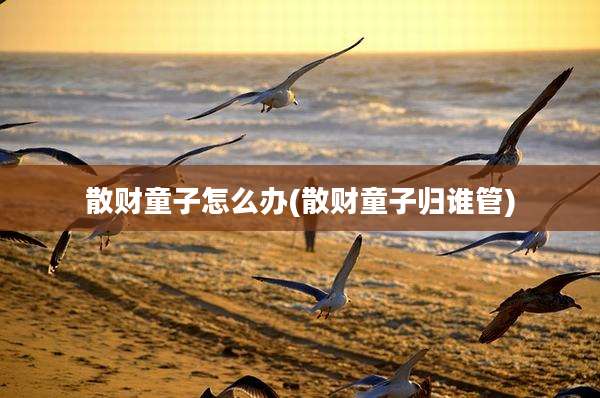 散财童子怎么办(散财童子归谁管)