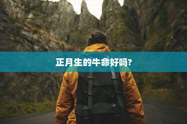 正月生的牛命好吗?
