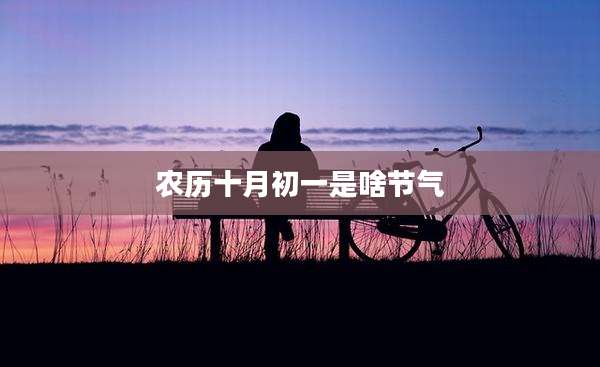 农历十月初一是啥节气