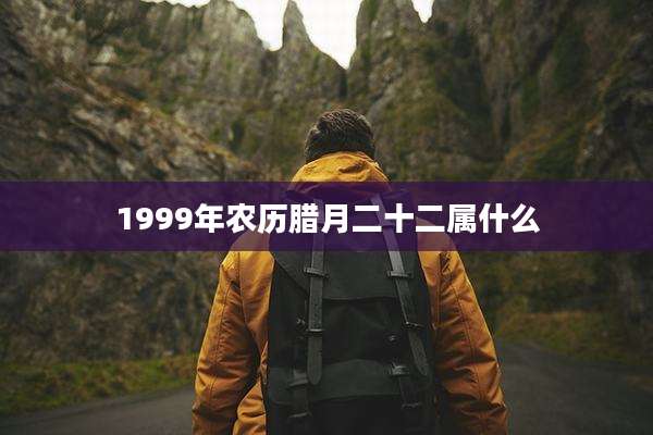 1999年农历腊月二十二属什么