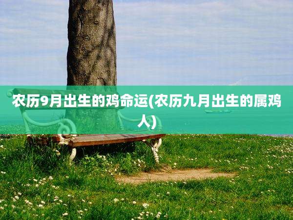 农历9月出生的鸡命运(农历九月出生的属鸡人)