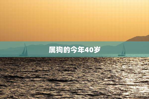 属狗的今年40岁