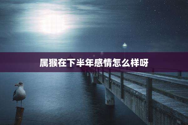 属猴在下半年感情怎么样呀