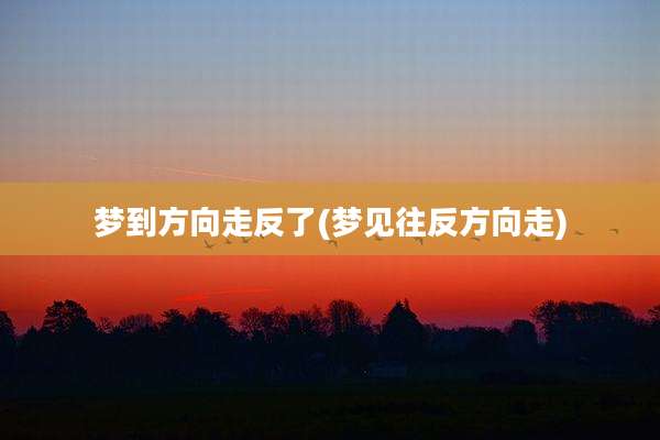 梦到方向走反了(梦见往反方向走)