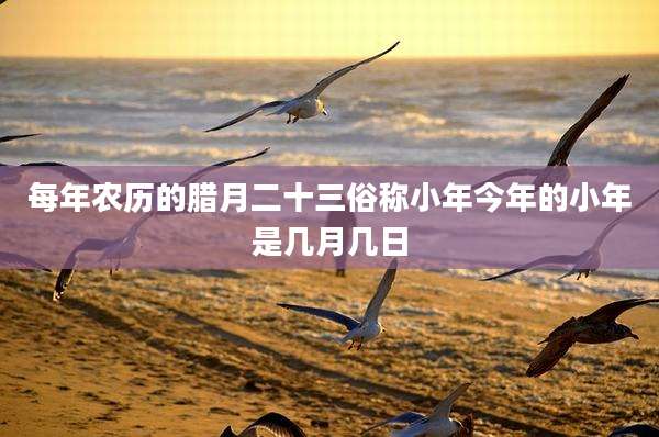 每年农历的腊月二十三俗称小年今年的小年是几月几日