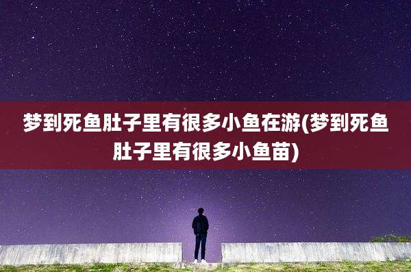 梦到死鱼肚子里有很多小鱼在游(梦到死鱼肚子里有很多小鱼苗)
