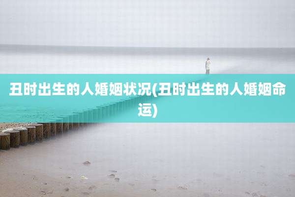 丑时出生的人婚姻状况(丑时出生的人婚姻命运)