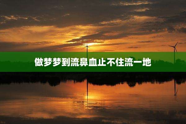 做梦梦到流鼻血止不住流一地