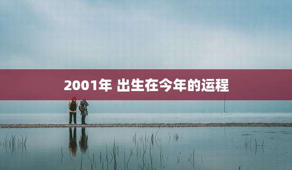 2001年 出生在今年的运程