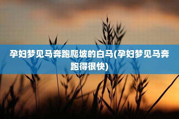 孕妇梦见马奔跑爬坡的白马(孕妇梦见马奔跑得很快)