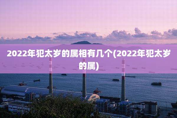 2022年犯太岁的属相有几个(2022年犯太岁的属)