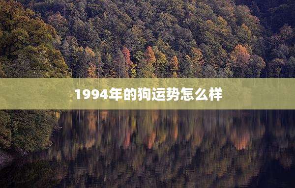 1994年的狗运势怎么样