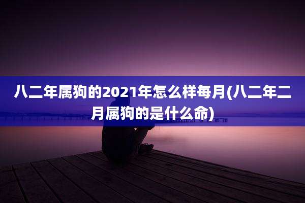 八二年属狗的2021年怎么样每月(八二年二月属狗的是什么命)