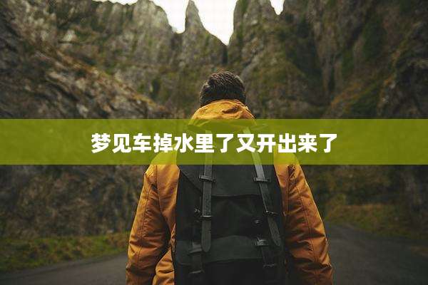 梦见车掉水里了又开出来了