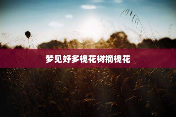 梦见好多槐花树摘槐花