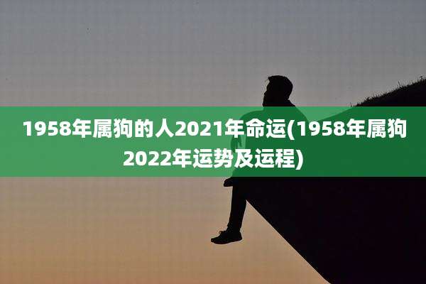 1958年属狗的人2021年命运(1958年属狗2022年运势及运程)