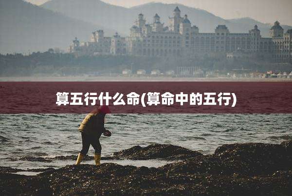 算五行什么命(算命中的五行)