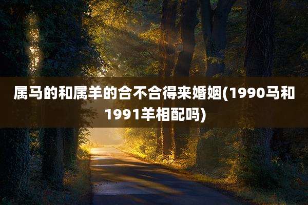 属马的和属羊的合不合得来婚姻(1990马和1991羊相配吗)
