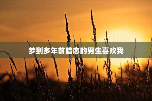 梦到多年前暗恋的男生喜欢我