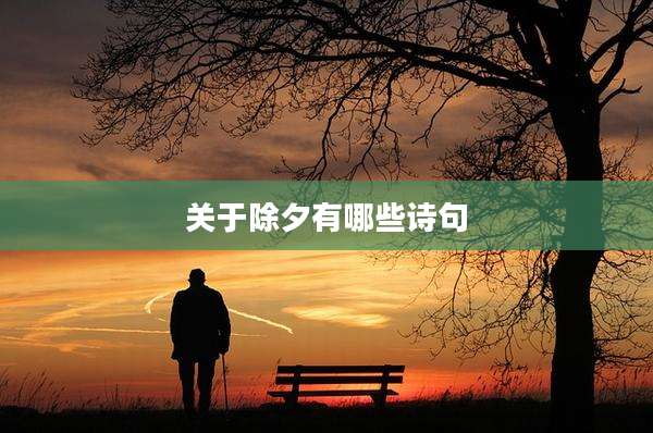 关于除夕有哪些诗句