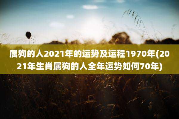 属狗的人2021年的运势及运程1970年(2021年生肖属狗的人全年运势如何70年)