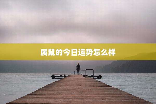 属鼠的今日运势怎么样