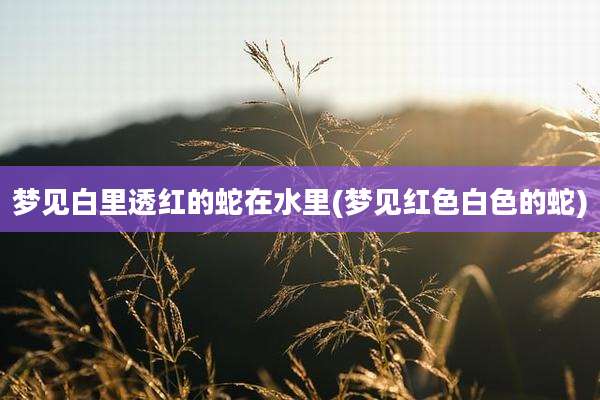 梦见白里透红的蛇在水里(梦见红色白色的蛇)