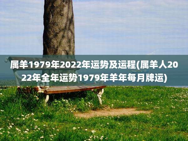 属羊1979年2022年运势及运程(属羊人2022年全年运势1979年羊年每月牌运)