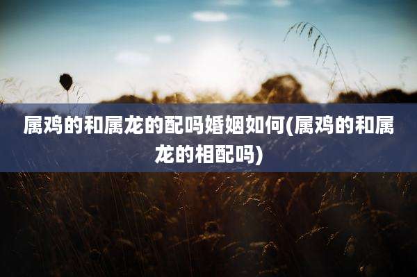 属鸡的和属龙的配吗婚姻如何(属鸡的和属龙的相配吗)