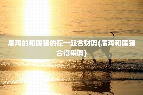 属鸡的和属猪的在一起合财吗(属鸡和属猪合得来吗)